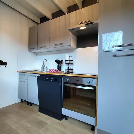 Mustang Vallee * Laruns