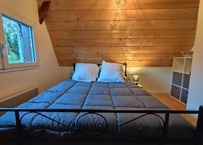 Mustang Vallee Alpesi faház *